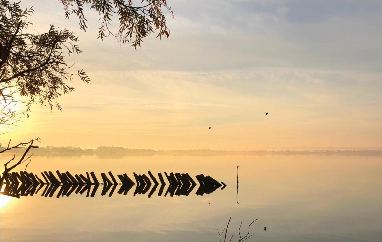 Amazing home in Lembruch-Dmmer See with 3 Bedrooms, WiFi&Indoor swimming pool Buitenkant foto